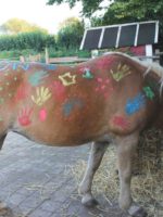 Kindergeburtstag mit Ponys