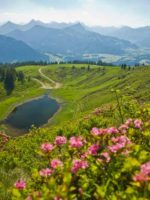 Wertach: Wandertour auf das Wertacher Hörnle