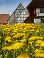 Illerbeuren: Bauernhofmuseum