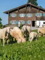 Diepolz: Allgäuer Bergbauernmuseum