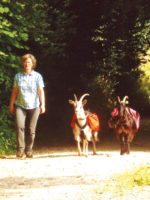 Auf Tour mit Ziegen: Ziegen-Trekking in den Westlichen Wäldern