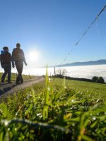 Bernbeuren: Wandertour auf den Auerberg