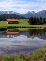 Pfronten: Moorpfad