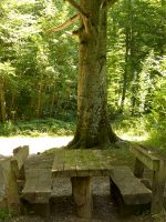 Dießen: Burgwald-Lehrpfad