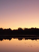 Buchenberg: Baden im Moorsee