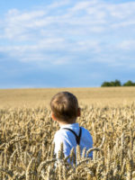 Unterhambach: Landwirtschaftlicher Lehrpfad