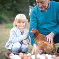 Mann zeigt Mädchen ein Huhn