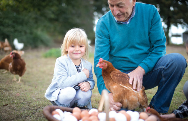 Mann zeigt Mädchen ein Huhn