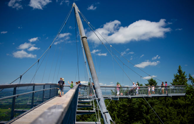 Skywalk Allgäu Baumwipfelpfad