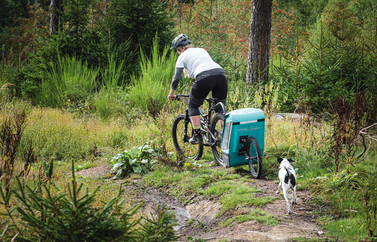 Frau auf dem Rad mit Hund im Wald unterwegs