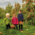 Drei Kinder in einem Obstgarten