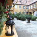 Weihnachtsbäume im Hof der Fuggerei Augsburg