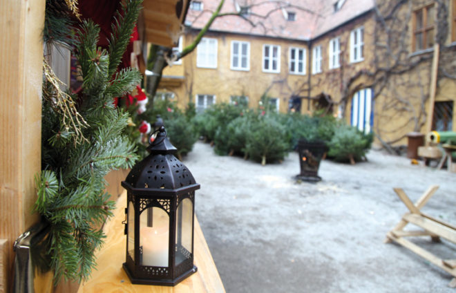 Weihnachtsbäume im Hof der Fuggerei Augsburg