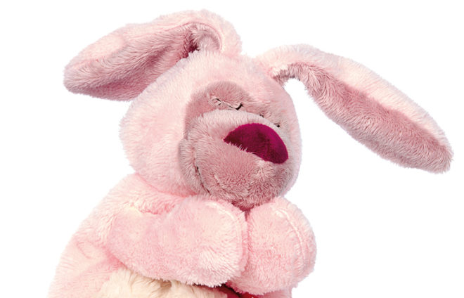 Ein rosa Hase