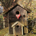vogelhaus
