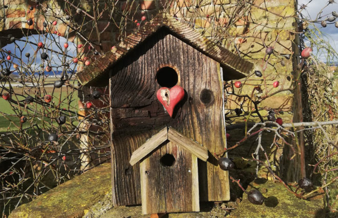 vogelhaus