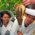 menschen bienenwabe