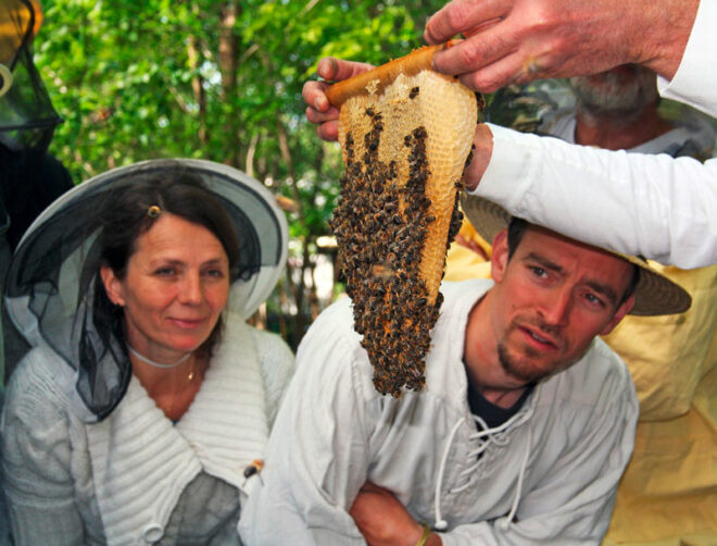 menschen bienenwabe