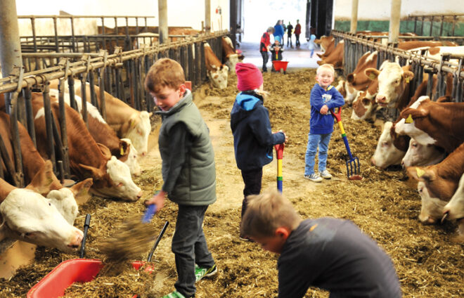 Mehrere Kinder in einem Kuhstall