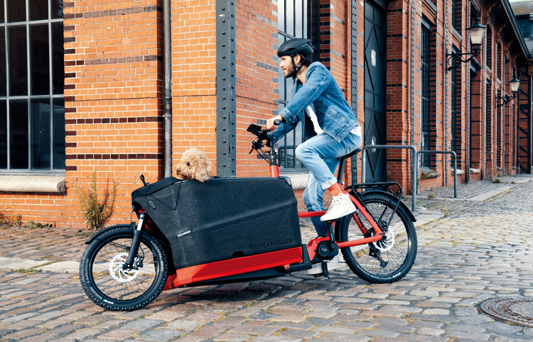 Lastenrad