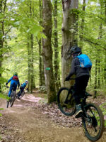 Westliche Wälder: Mountainbiken mit der Bike-School