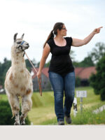 Erkhausen/Scherstetten: Lamas vom Kaindlhof