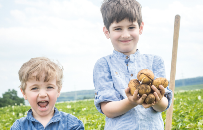 Kinder an einem Feld