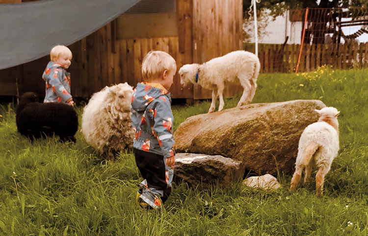 Kleinkinder schauen sich Schafe an