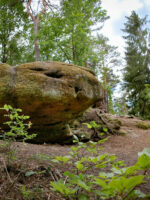 Franken: Druidenweg bei Mäbenberg