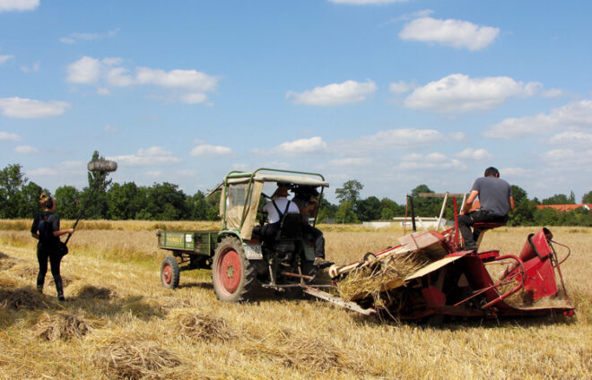 Traktor am Ernten