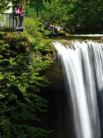 Scheidegg: Wasserfälle + Märchenwald