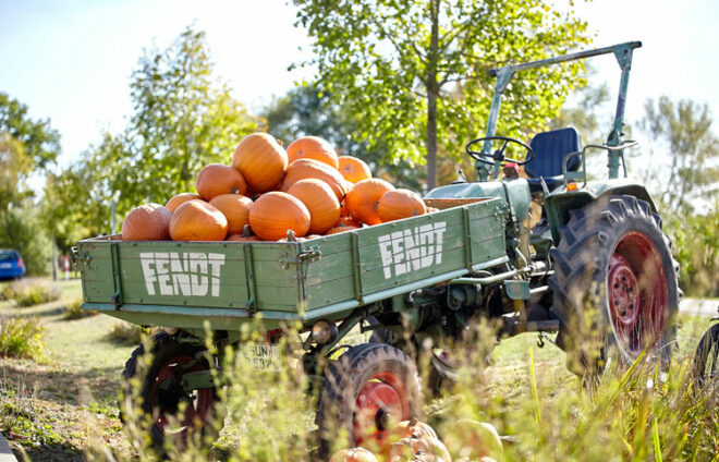 Traktor mit Kürbissen