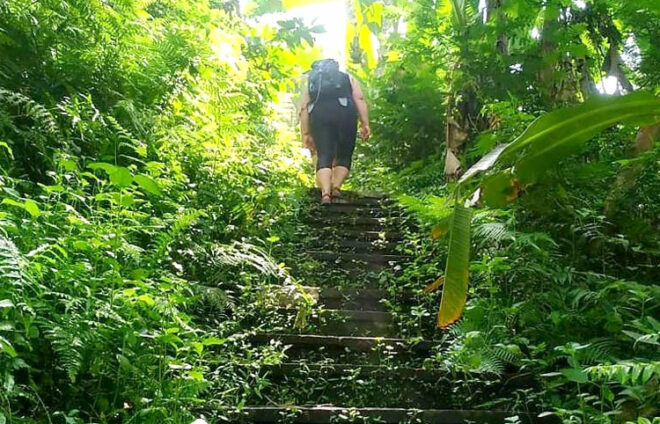 Treppenaufstieg im Dschungel