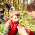 Frau zeigt Jungen die Natur, Waldkindergarten