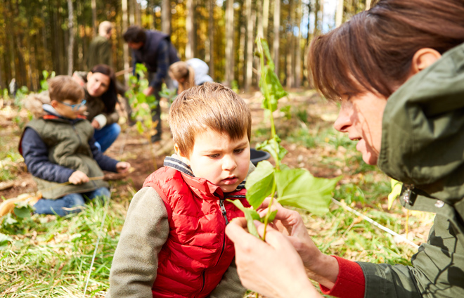 Frau zeigt Jungen die Natur, Waldkindergarten