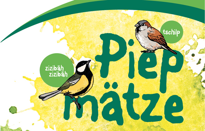 Illustration Vögel zur Ausstellung Piepmätze