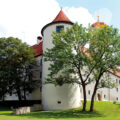 Schloss Höchstädt von der Seite