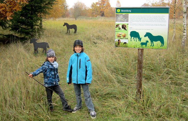 Deuringer Heide