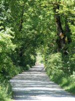 Benediktbeuern: Gehölzpfad Klosterland