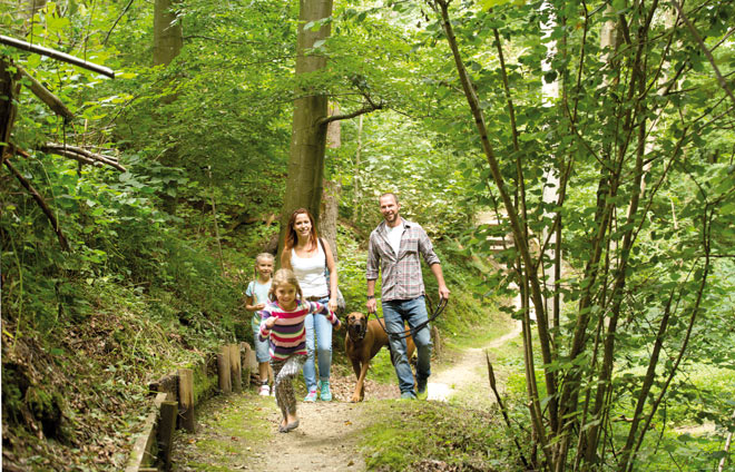 Hansenhohl Erlebnispfad Familie