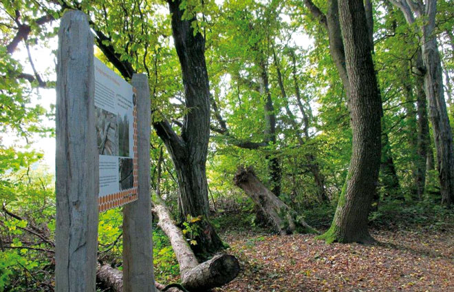 Illertissen Bienenpfad Bayerische Staatsforste
