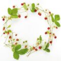 Erdbeeren Kranz