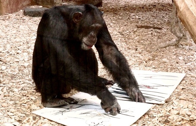 Coco Zoo Augsburg Anja Güthoff