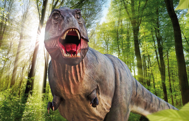 dinosaurier museum altmühltal