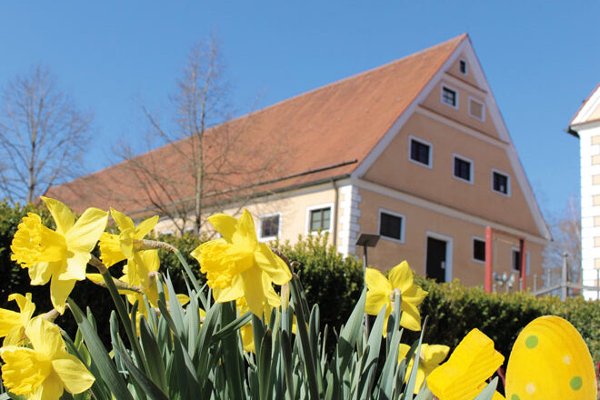 Oberschönenfelder Frühling