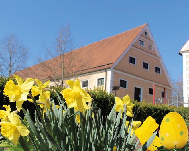 Oberschönenfelder Frühling