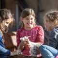 Kinder beim Wolle filzen Bauernhofmuseum Wolfegg