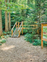 Ried: Erlebnispfad Höglwald