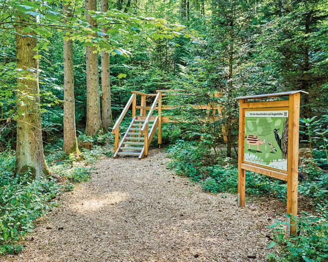 Höglwald Ried
