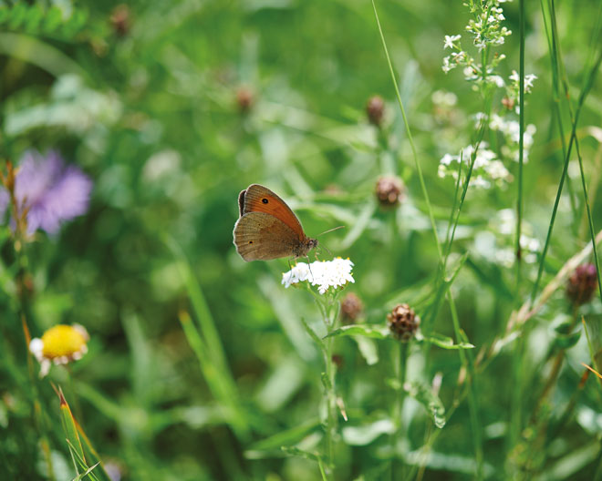 Ausstellung Museum Kulturland Ries